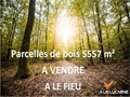 Image du bien UBI458217470